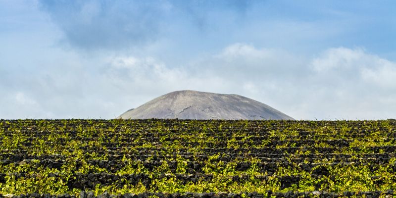 05-Vinedos-La-Geria-scaled