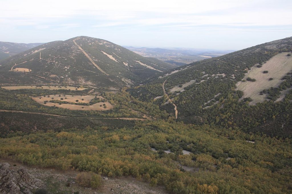 Imagen destacada de la Asociación para el Desarrollo Integrado del Territorio Montes Toledanos (Toledo, Castilla-La Mancha)