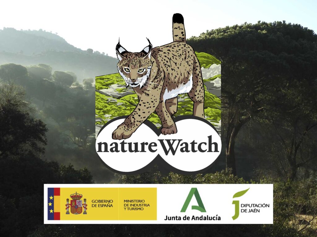 Cartel natureWatch Jaén