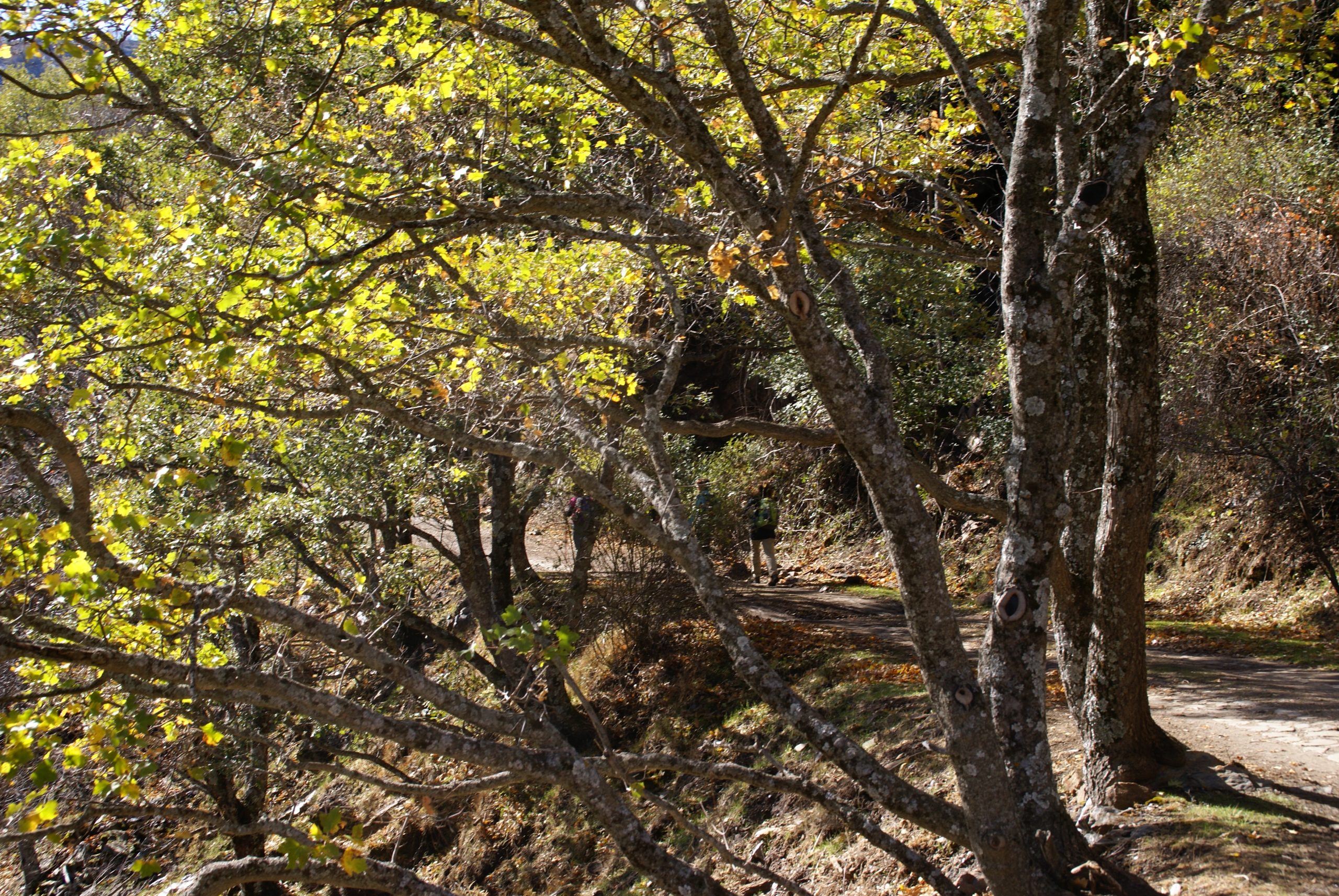 Las 4 experiencias definitivas que practicar en defensa de la educación ambiental