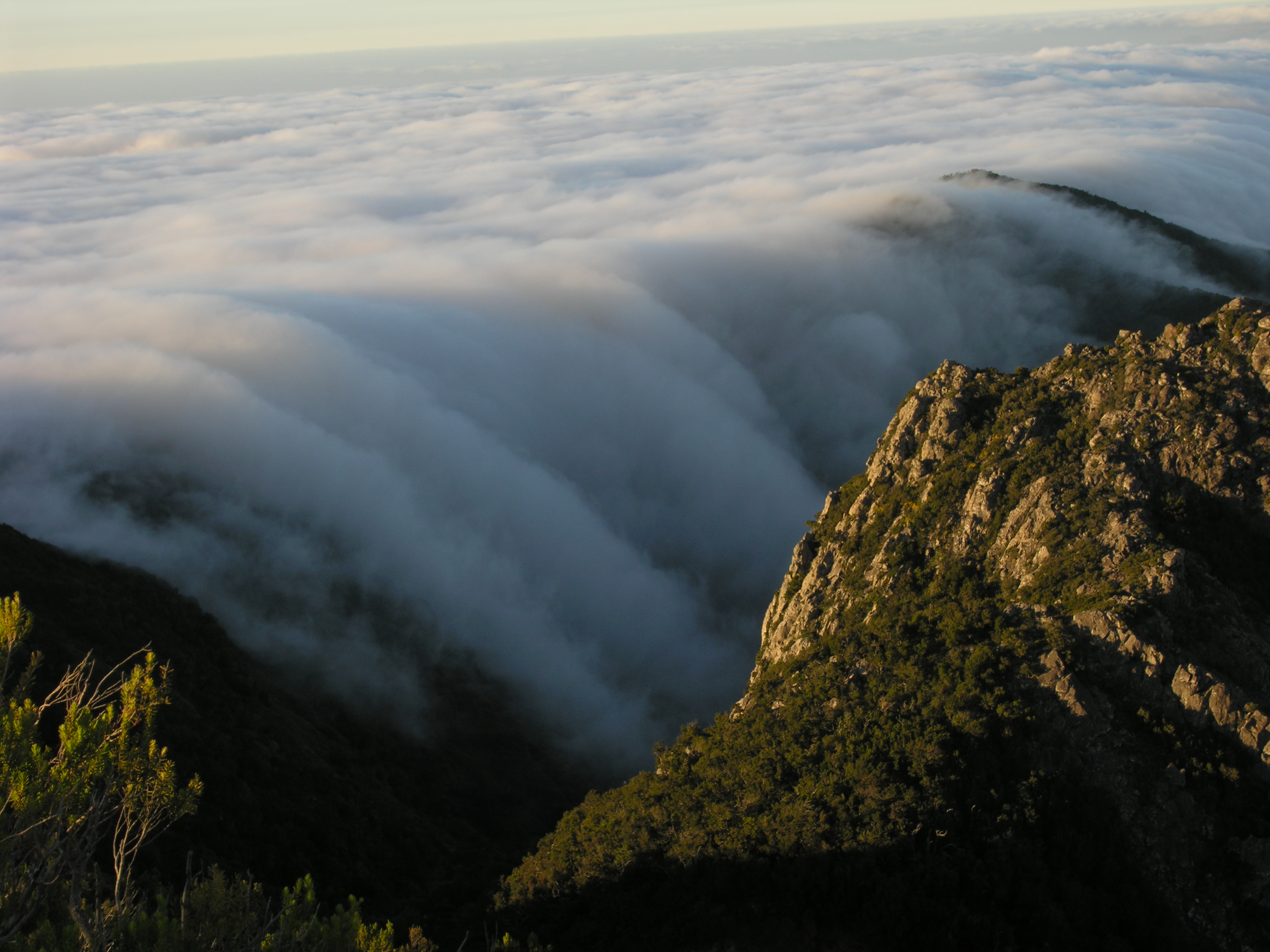 Reserva de la Biosfera de La Gomera @soyecoturista Club Ecoturismo en España