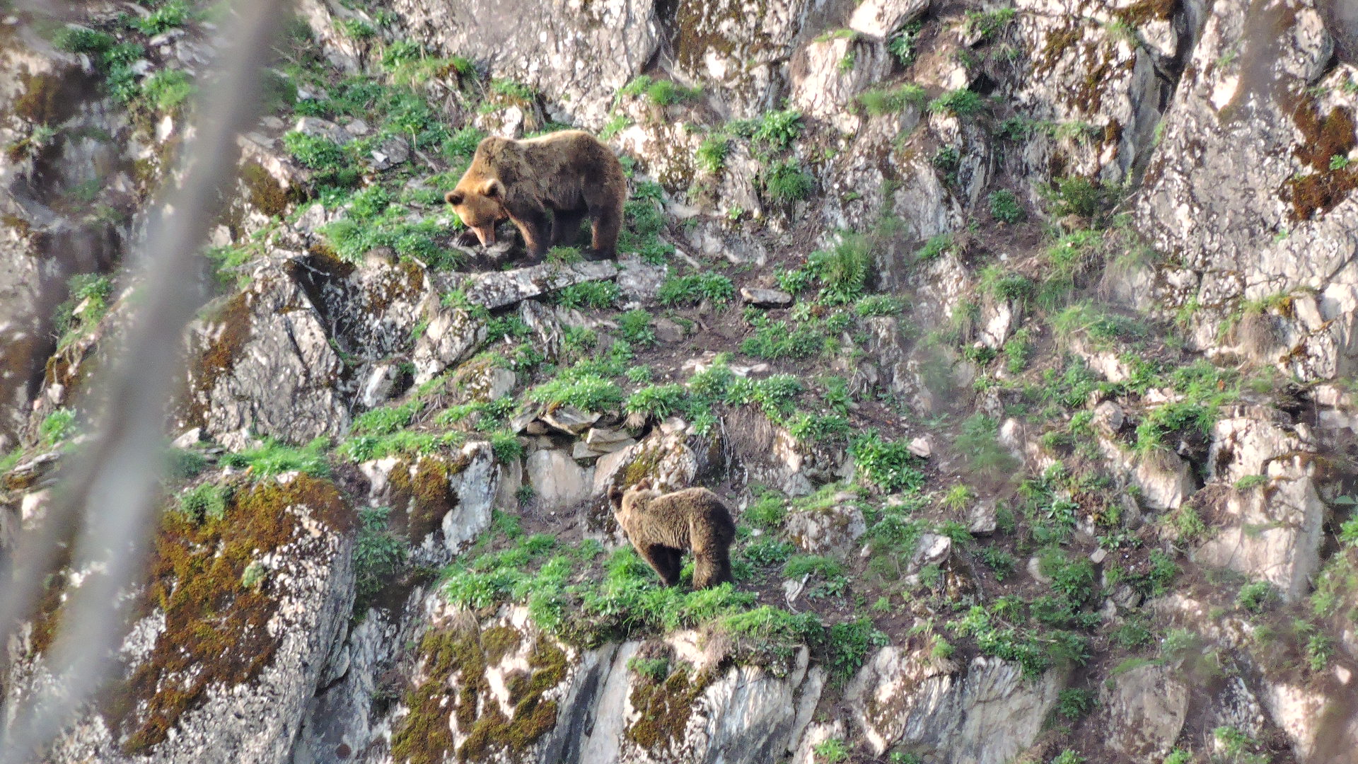 El día europeo de los parques naturales con el club ecoturismo en España y esta selección de parques entre los que se encuentra el De Fuentes del Narcea