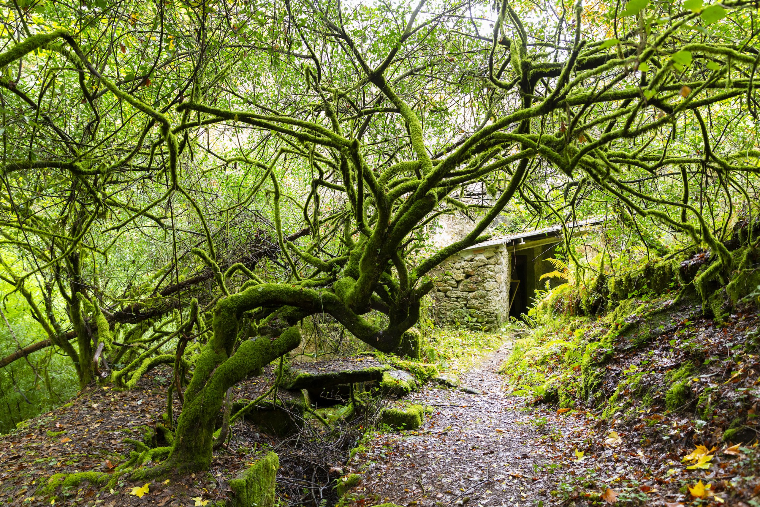 Reserva de Biosfera Mariñas Coruñesas e Terras do Mandeo @soyecoturista Club Ecoturismo en España