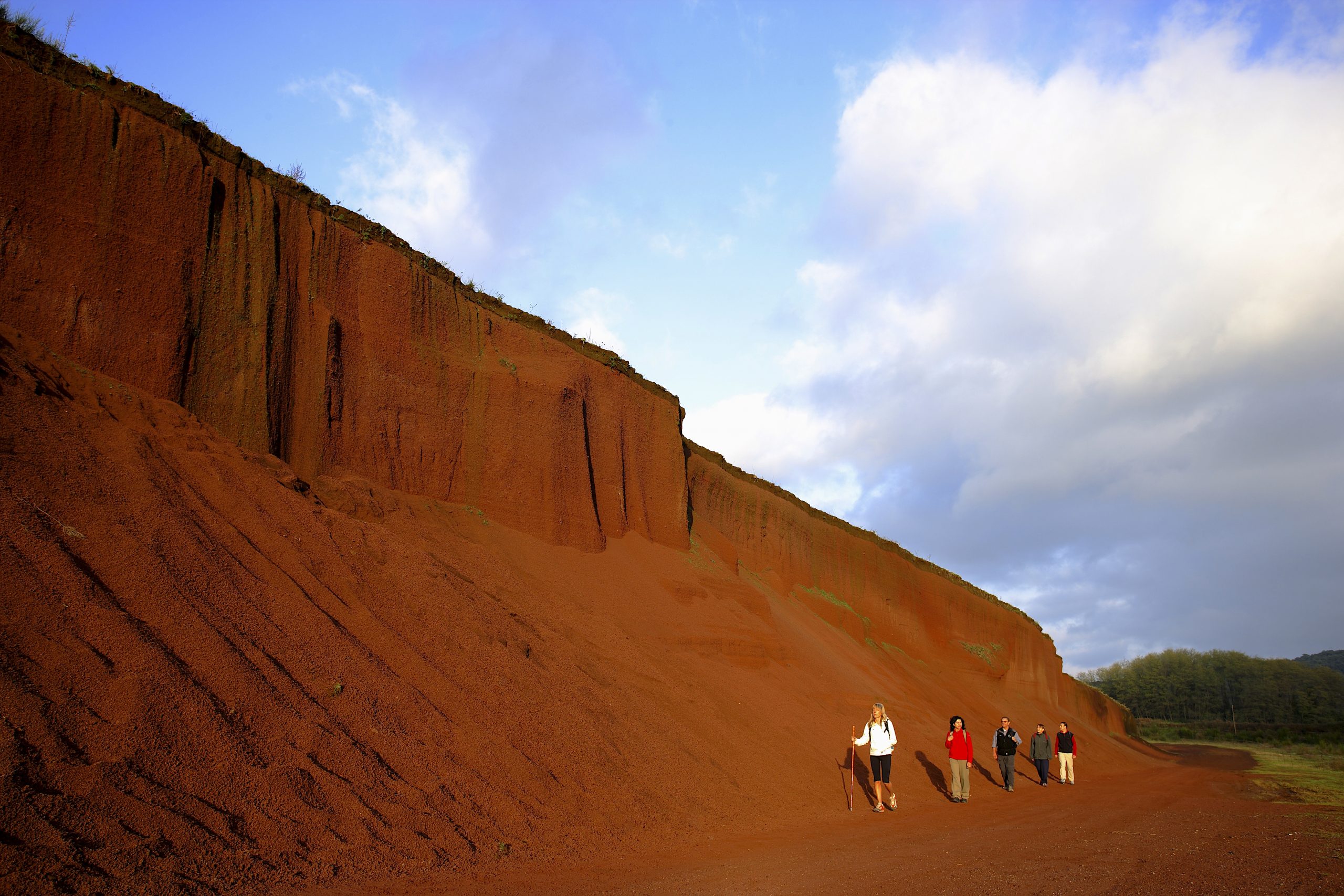 Las 4 experiencias definitivas que practicar en defensa de la educación ambiental