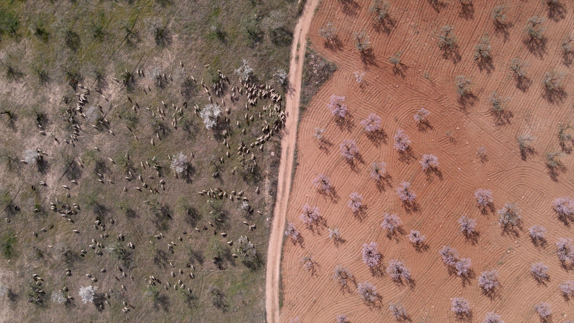 El día europeo de los parques naturales con el club ecoturismo en España y esta selección de parques entre los que se encuentra el de Sierra Espuña