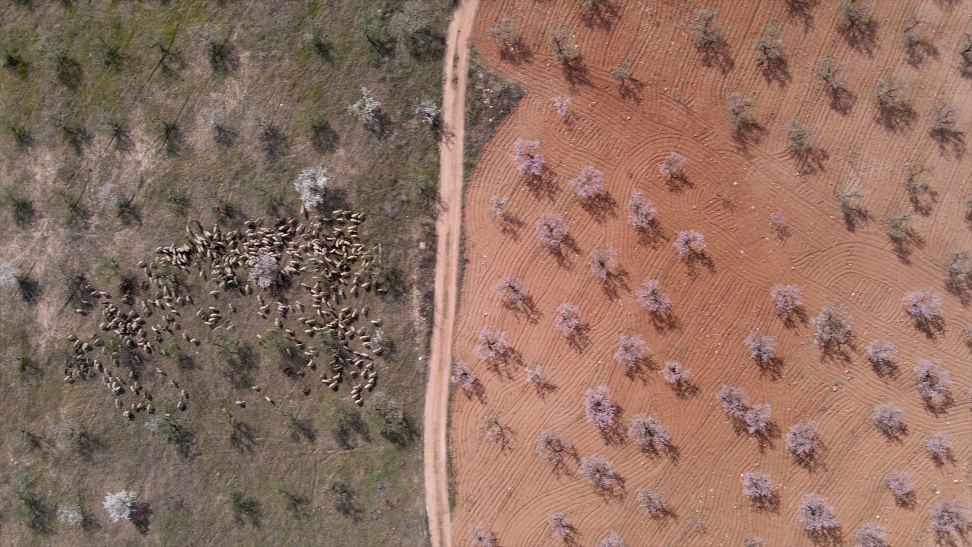 Parque Regional de Sierra Espuña @soyecoturista Club Ecoturismo en España
