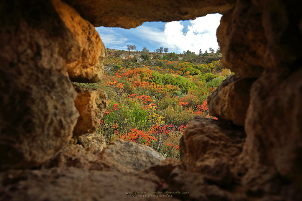 experiencias observación fauna salvaje