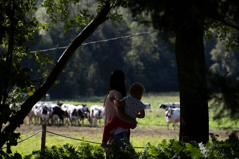 la Fageda fundación y sus experiencias de producto local