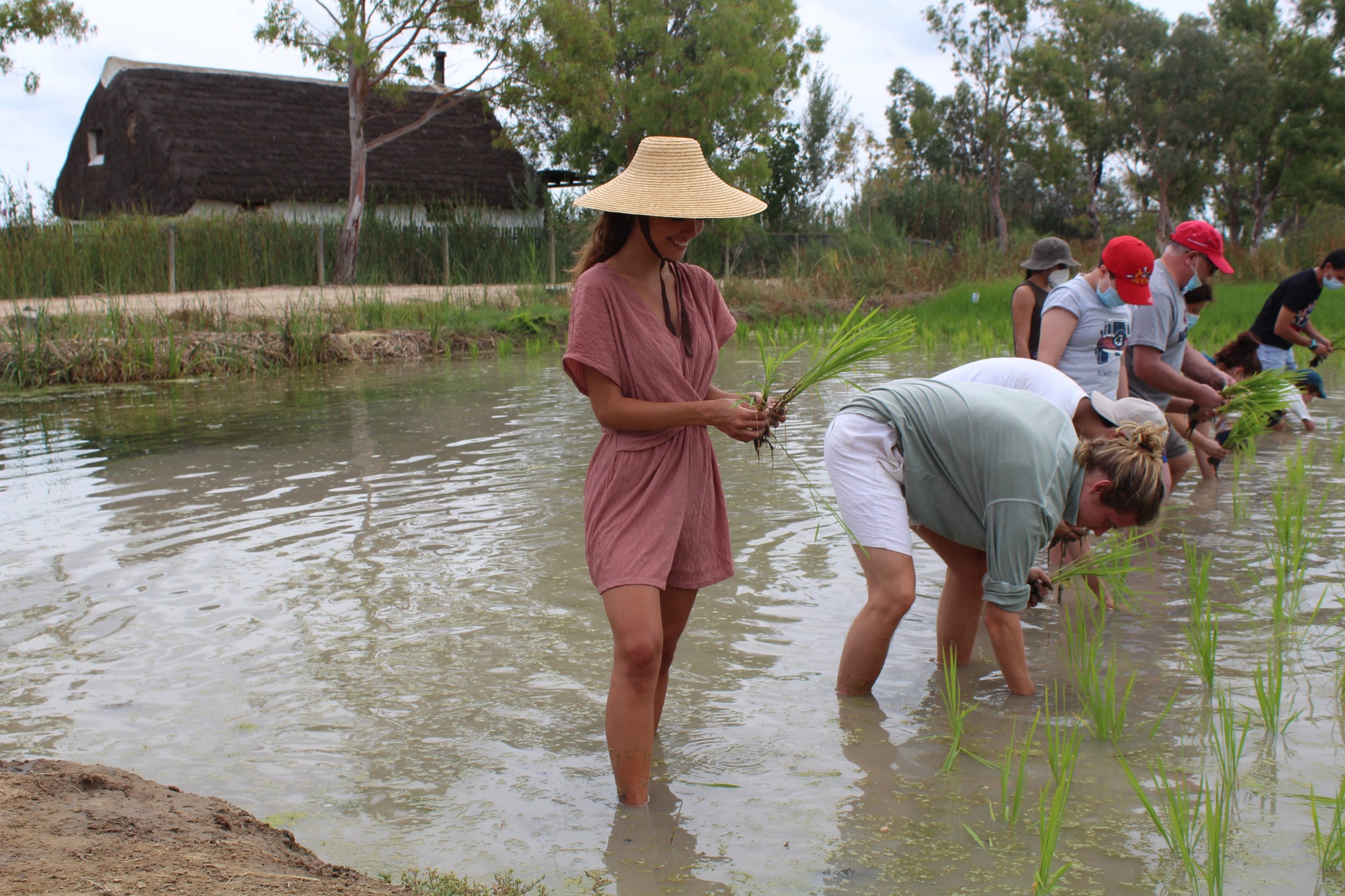 Experiencias birdwatching ecoturismo Delta del Ebro
