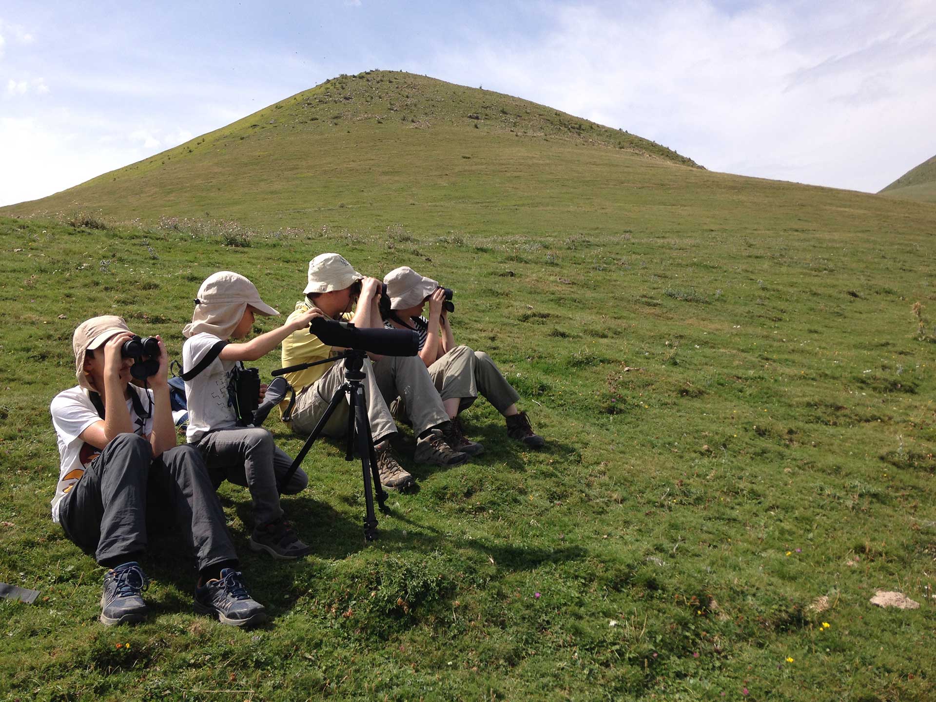 Experiencias birdwatching ecoturismo Ordesa y monte perdido
