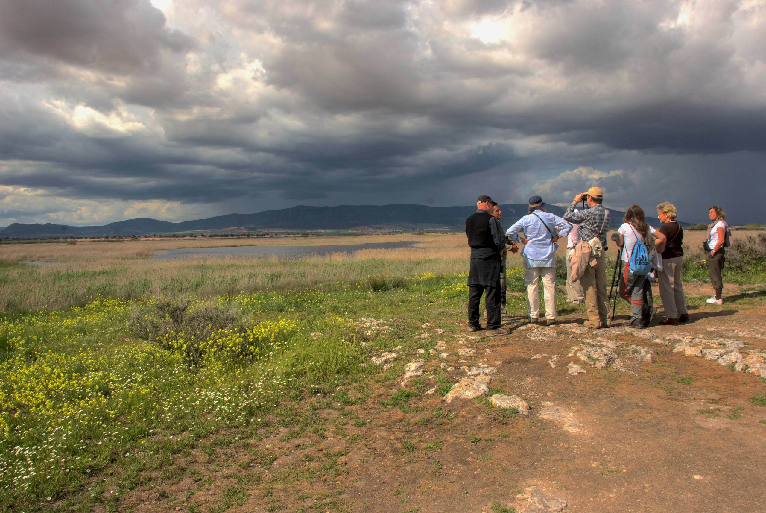 experiencias observación fauna salvaje