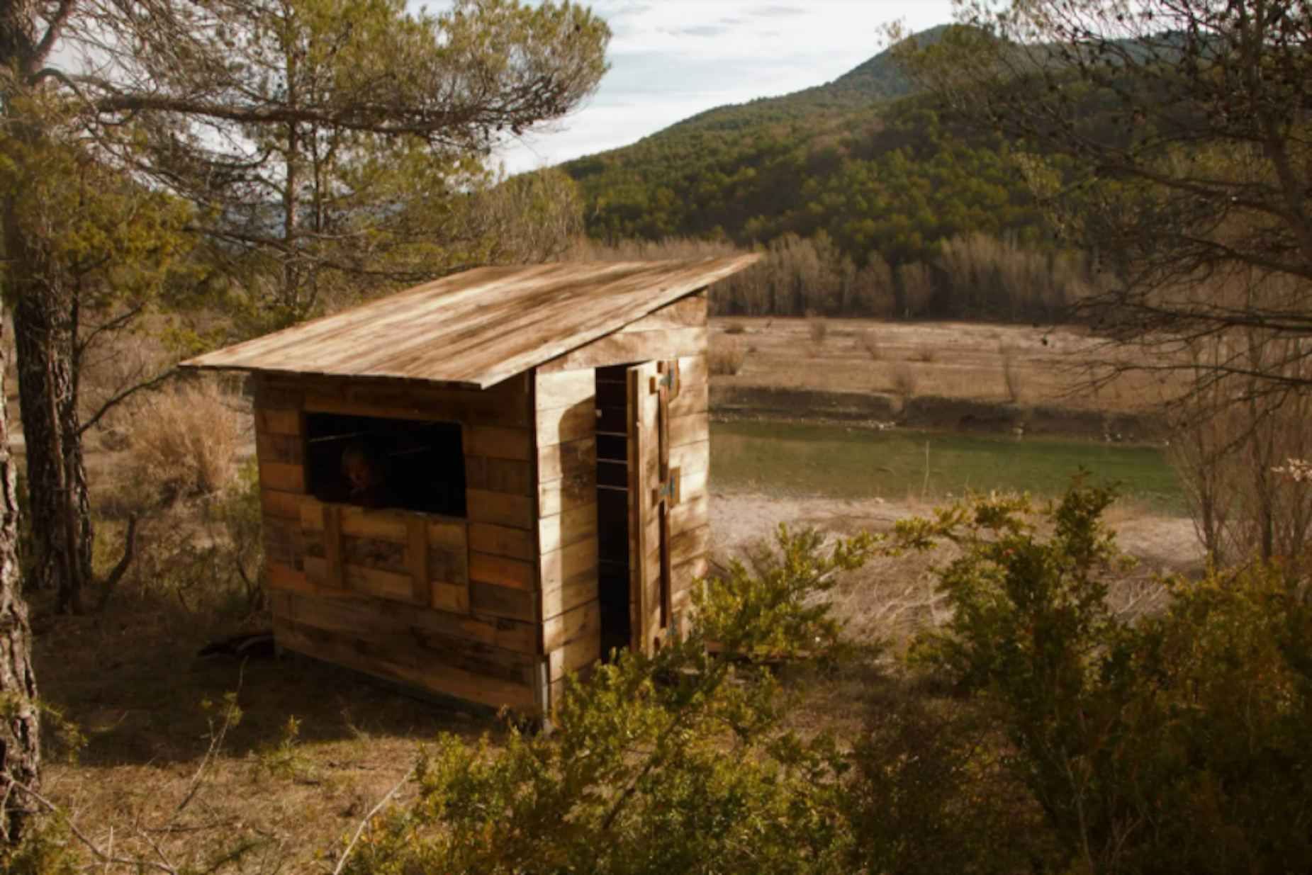 Experiencia de birdwatching en Casa Gerbe
